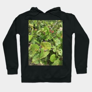 Leaves Hoodie